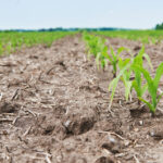 Instalación de sistema de riego agrícola eficiente en Ecuador en cultivo de hortalizas