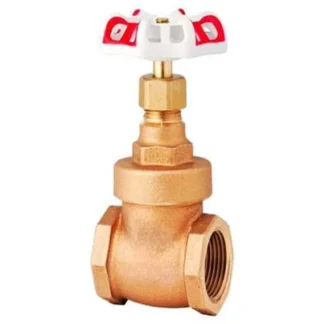 Valvula Compuerta 1, Met., Npt, Tipo Red-White; TW; IVA | 10 | CA50000021_4G40105 SU