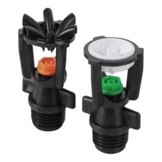 Aspersor 1/2, Macho, Bailarina Semillero Peq., Pl.; NAC; *** | 15 | CA60000327_244 SU