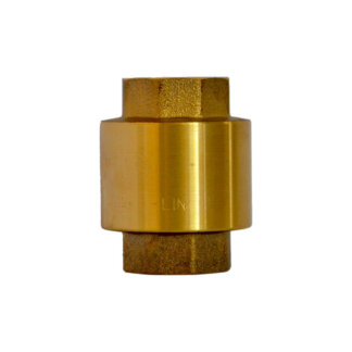 Valvula check vertical china